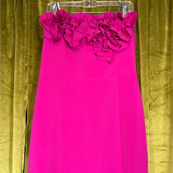 ML Monique Lhuillier Pink Gemma Appliqué Strapless Gown. Size 14. Retail $595 - Picture 7 of 12